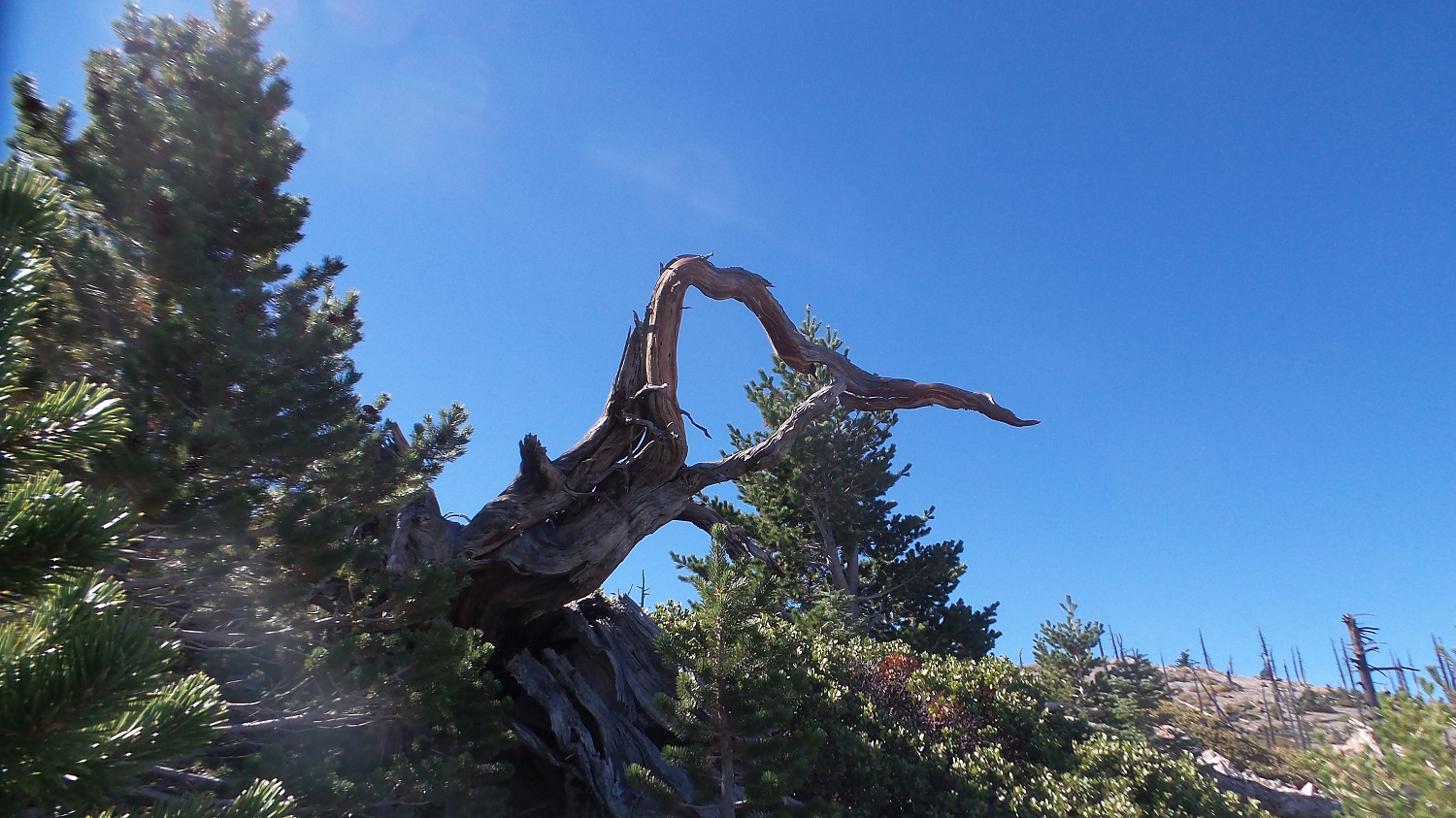 20161003_102331.jpg