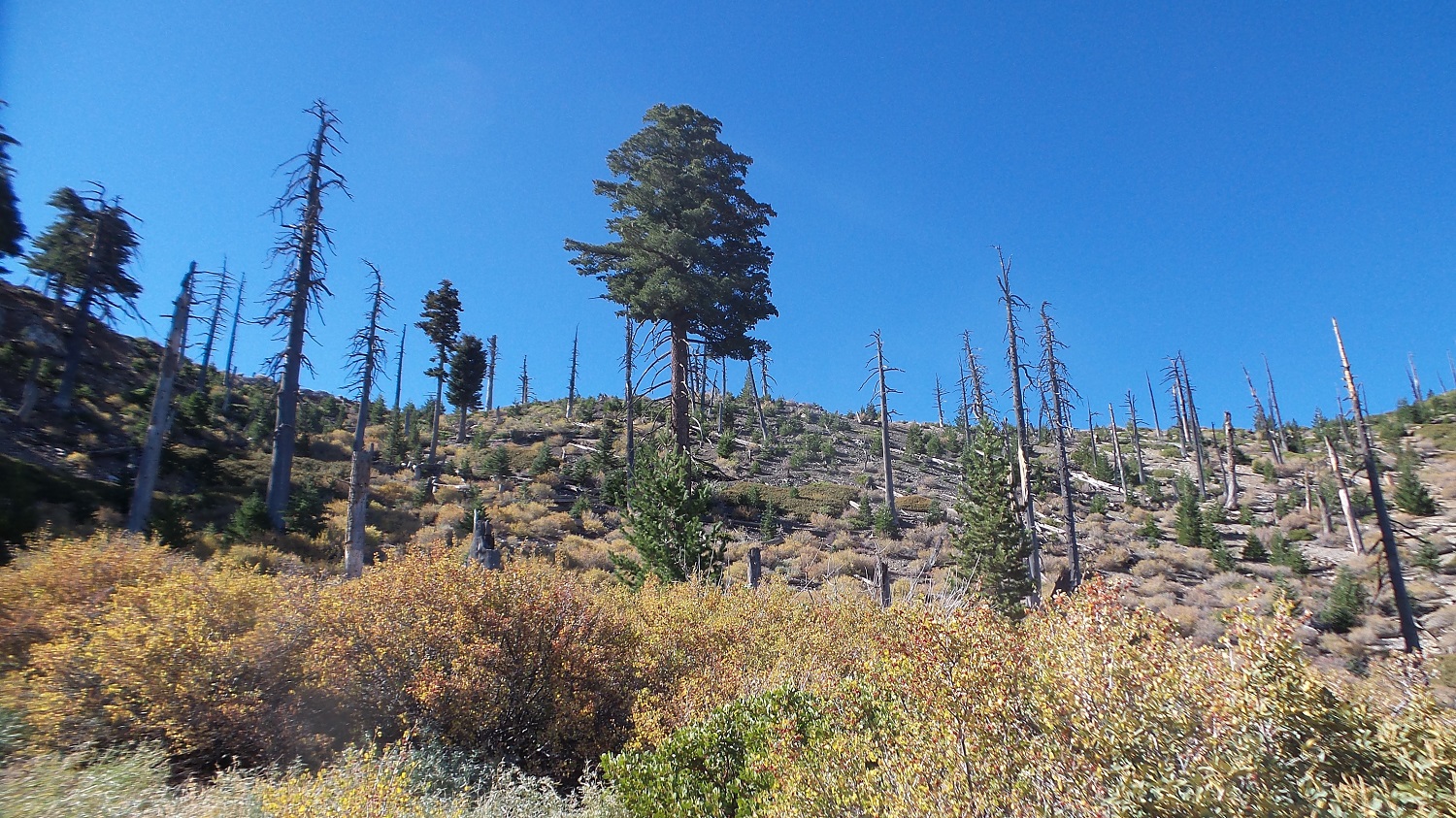 20161003_095742.jpg