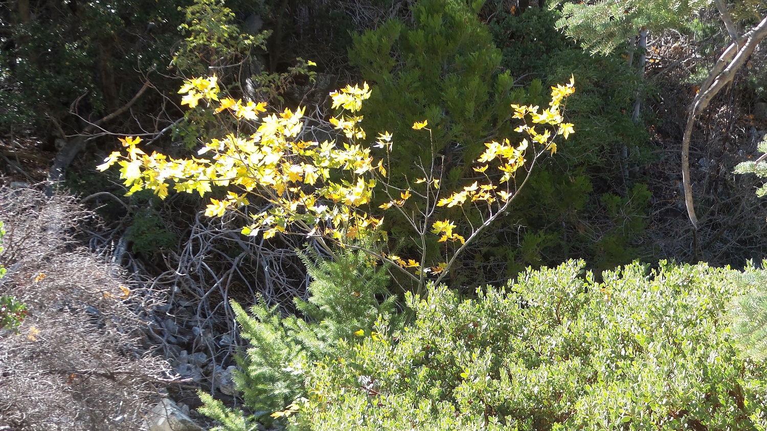 20161003_134029.jpg
