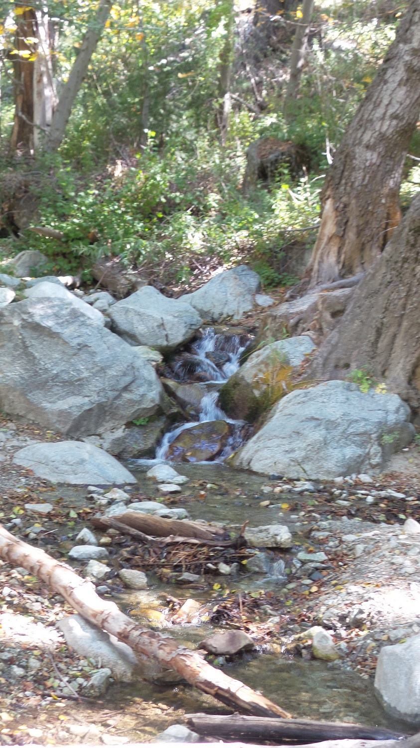 20161003_140804.jpg