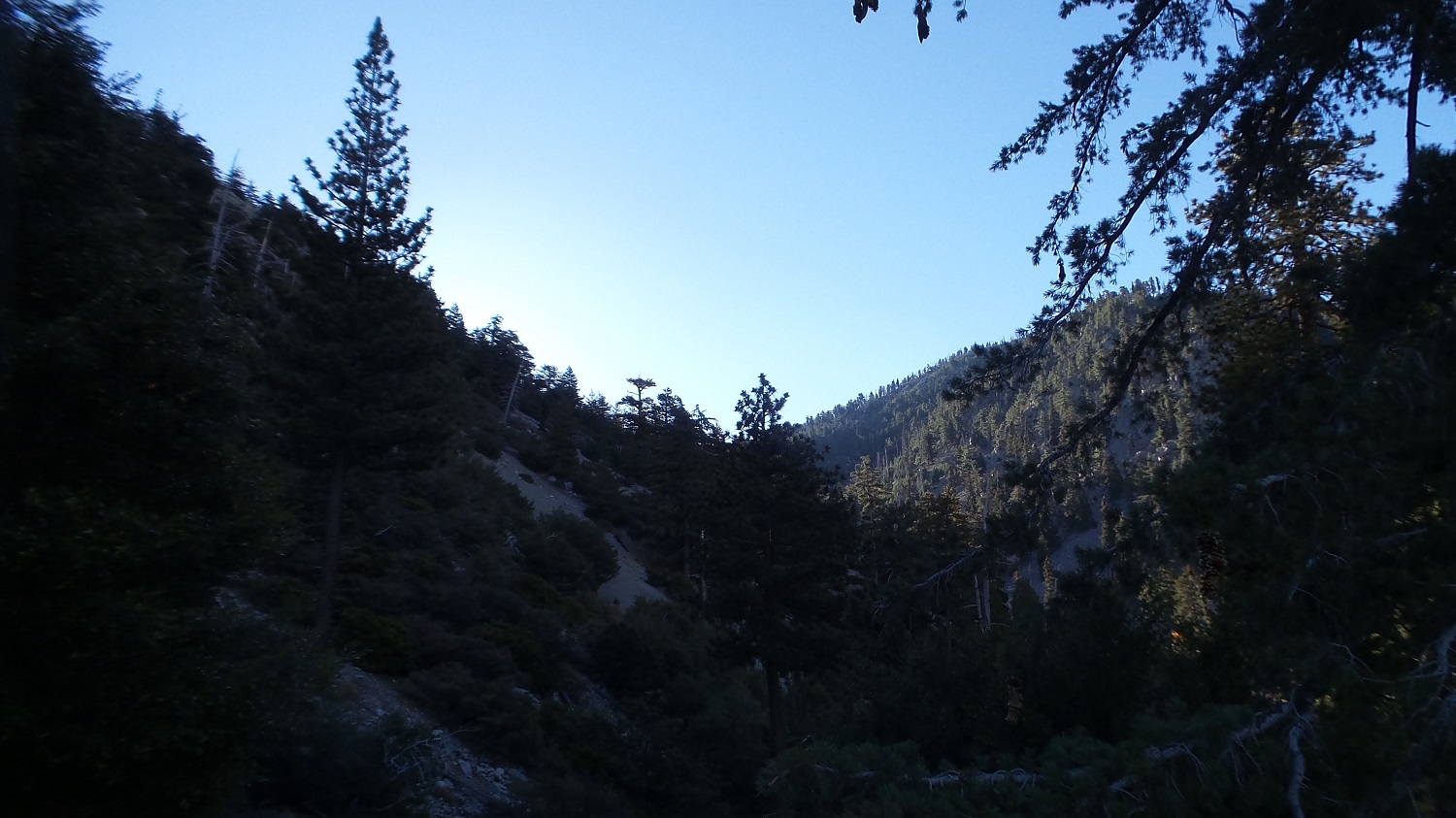 20161003_083456.jpg
