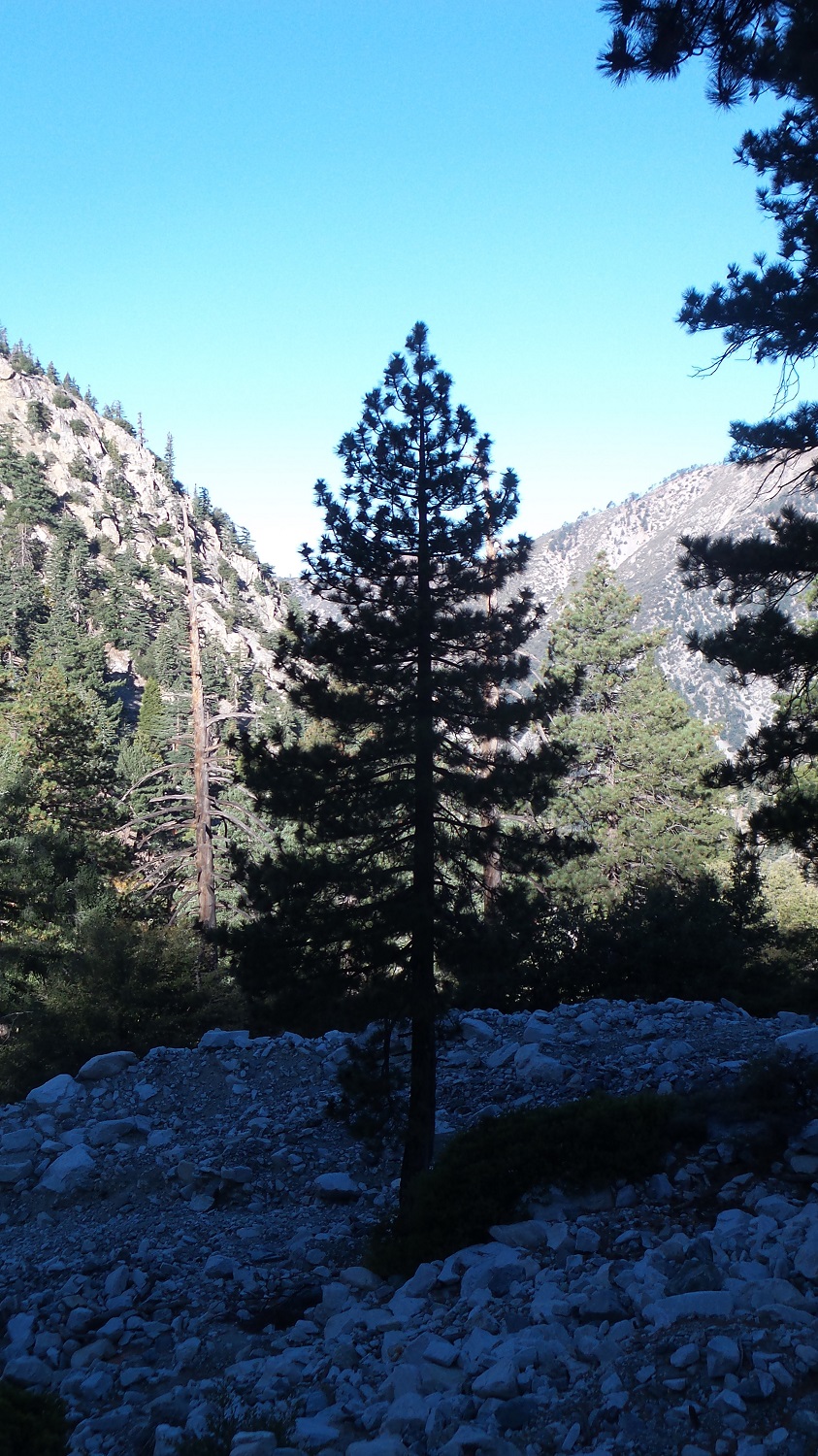 20161003_083421.jpg
