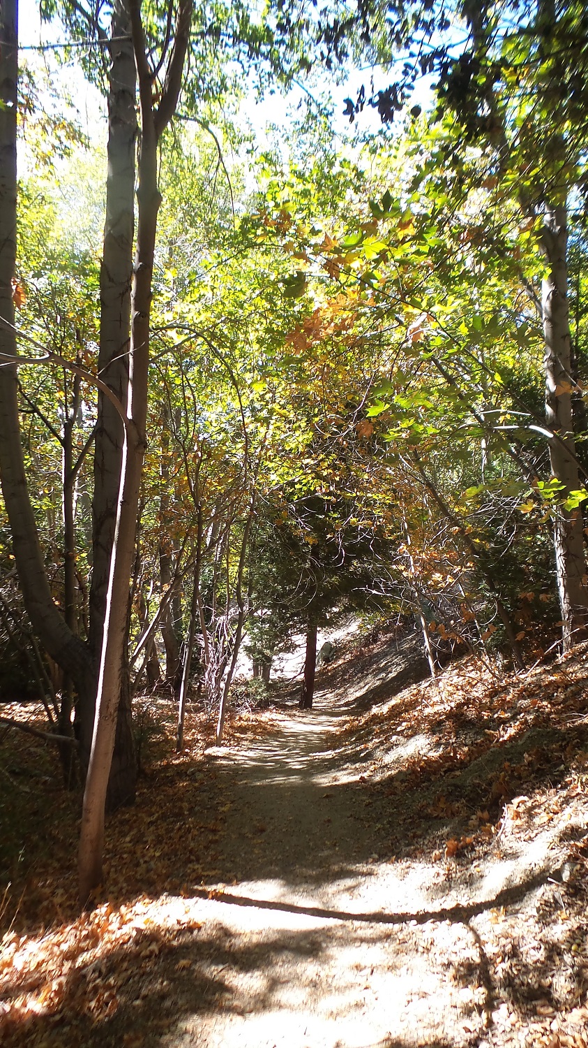 20161003_135123.jpg