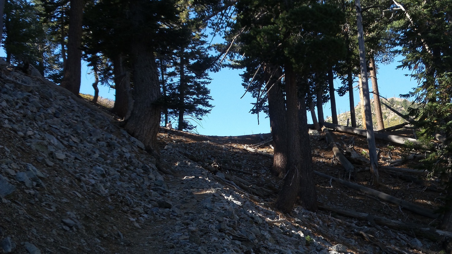 20161003_094251.jpg