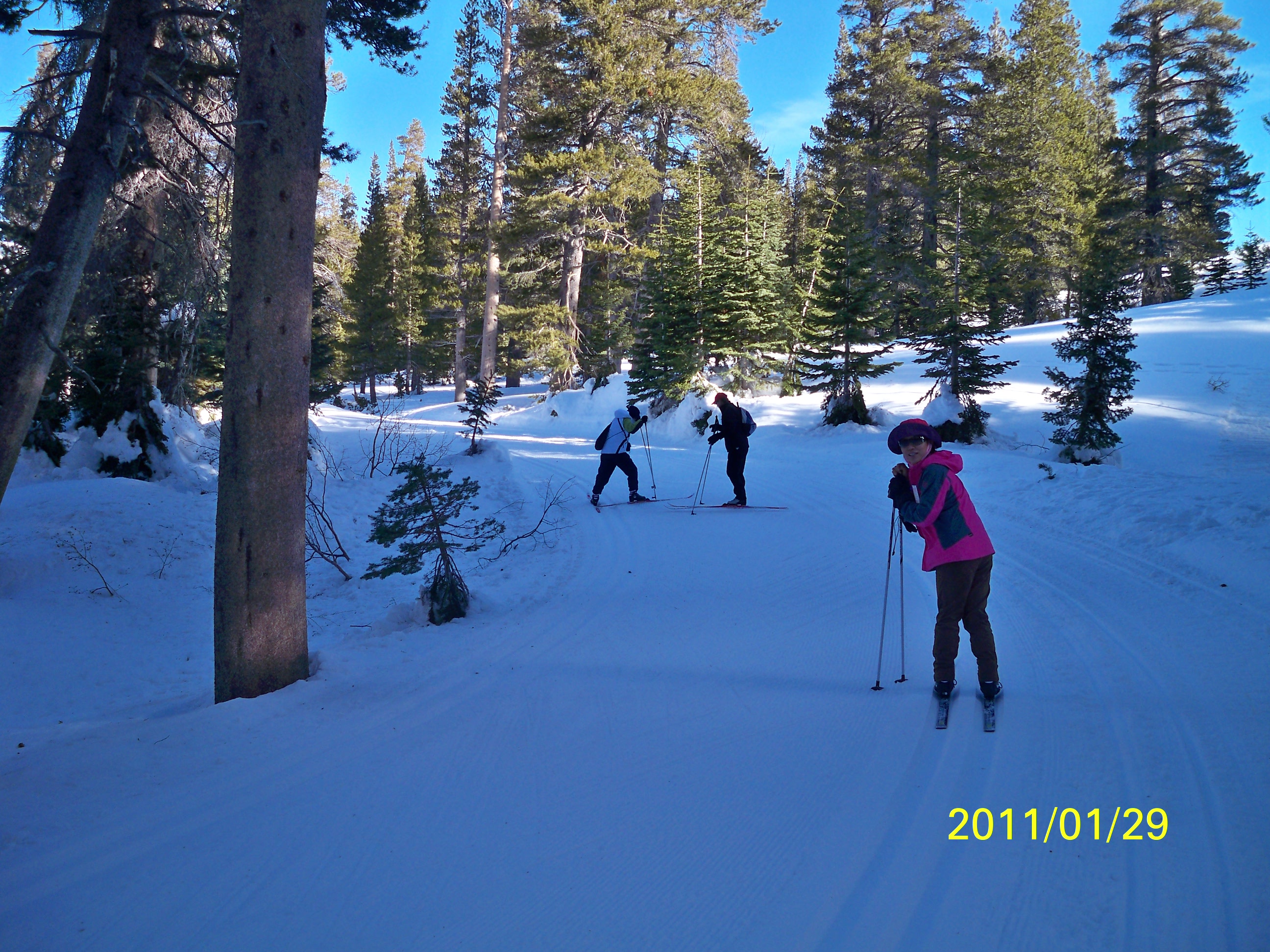 mammoth_006.jpg