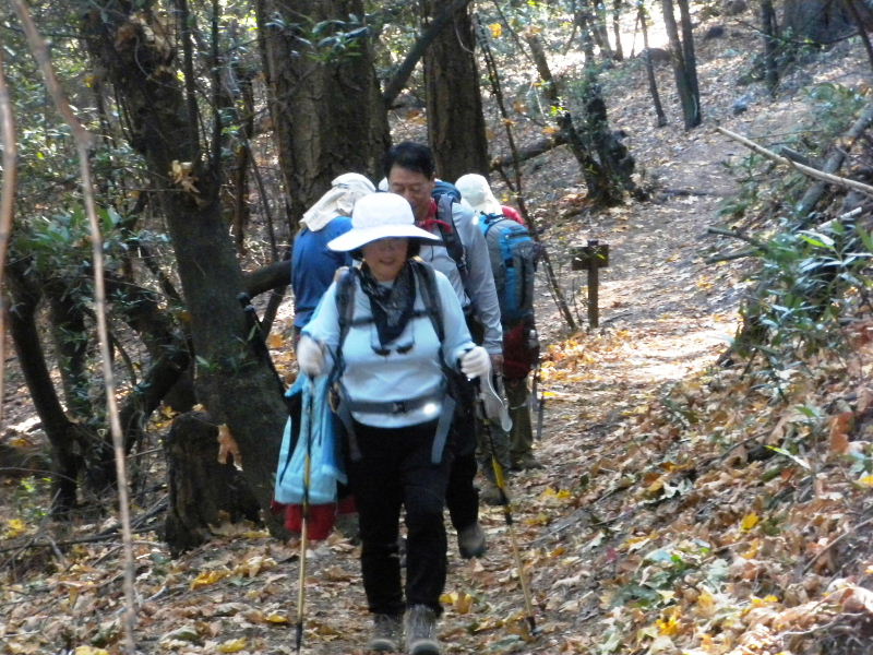 mt.Wilson1109 016.jpg