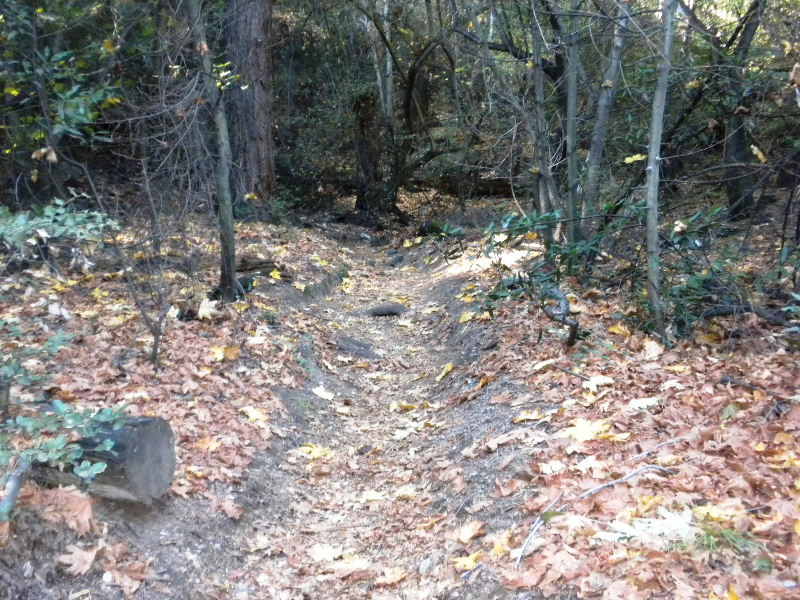 mt.Wilson1109 017.jpg
