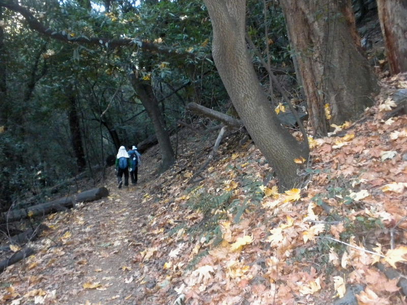 mt.Wilson1109 043.jpg