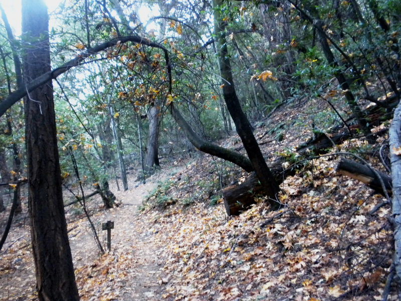 mt.Wilson1109 052.jpg