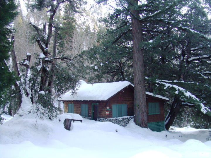 Copy of Timber122108 044.jpg