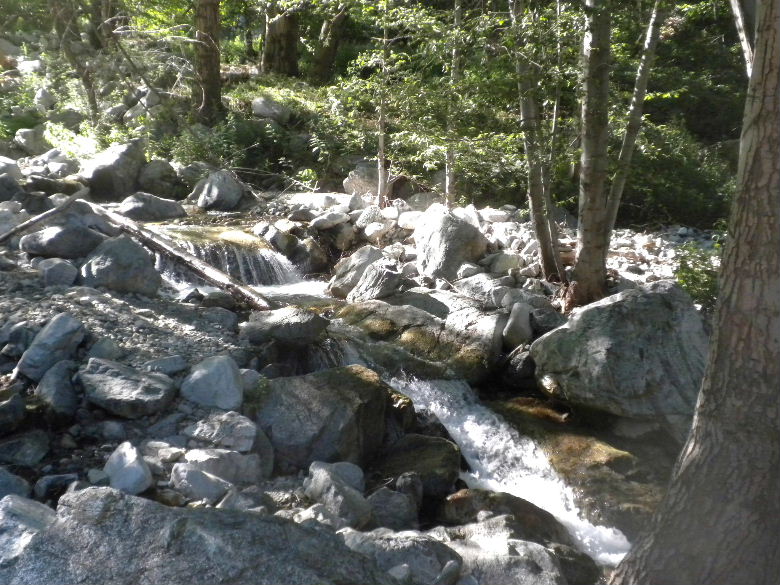 ontariopeak71011 011.JPG