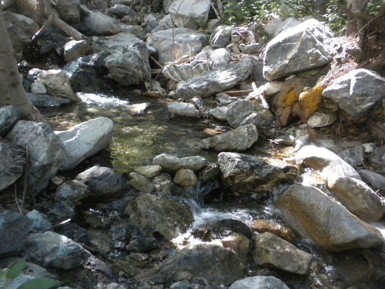 ontariopeak71011 018.JPG