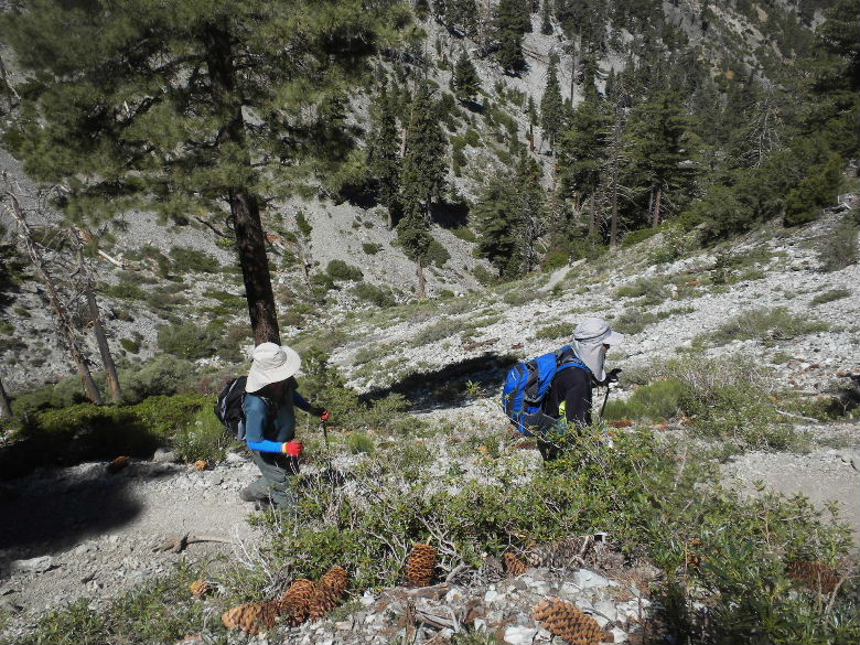 ontariopeak71011 027.JPG