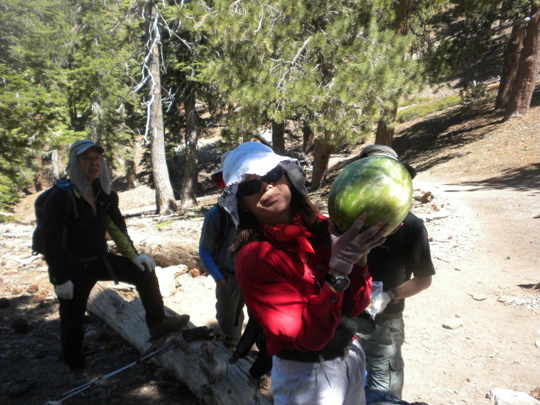 ontariopeak71011 040.JPG
