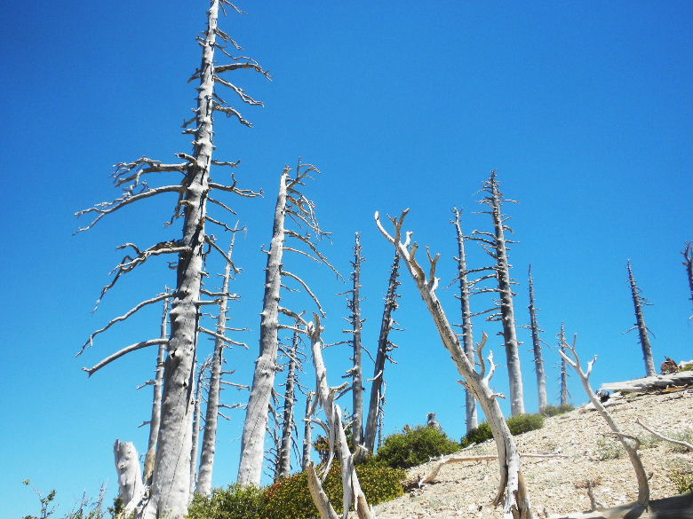 ontariopeak71011 090.JPG