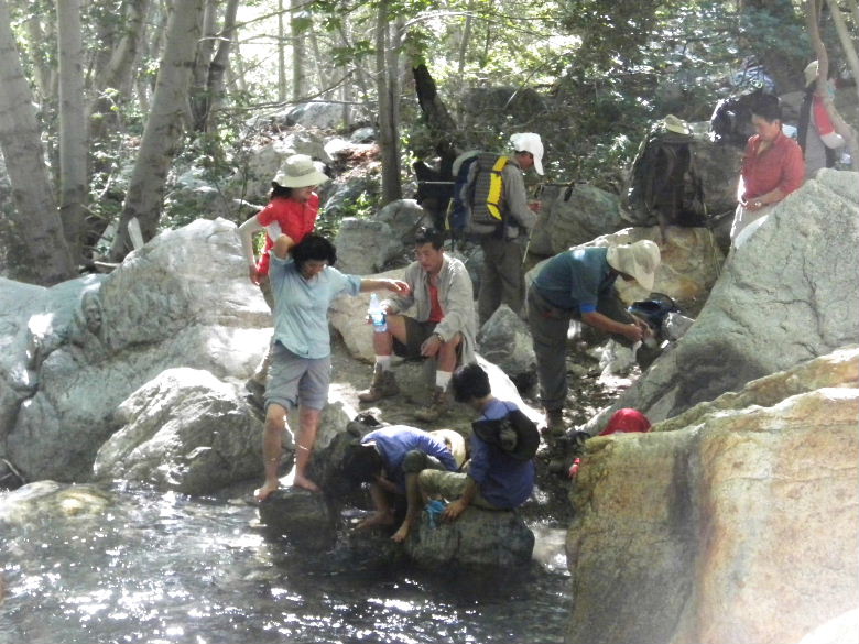 ontariopeak71011 102.JPG