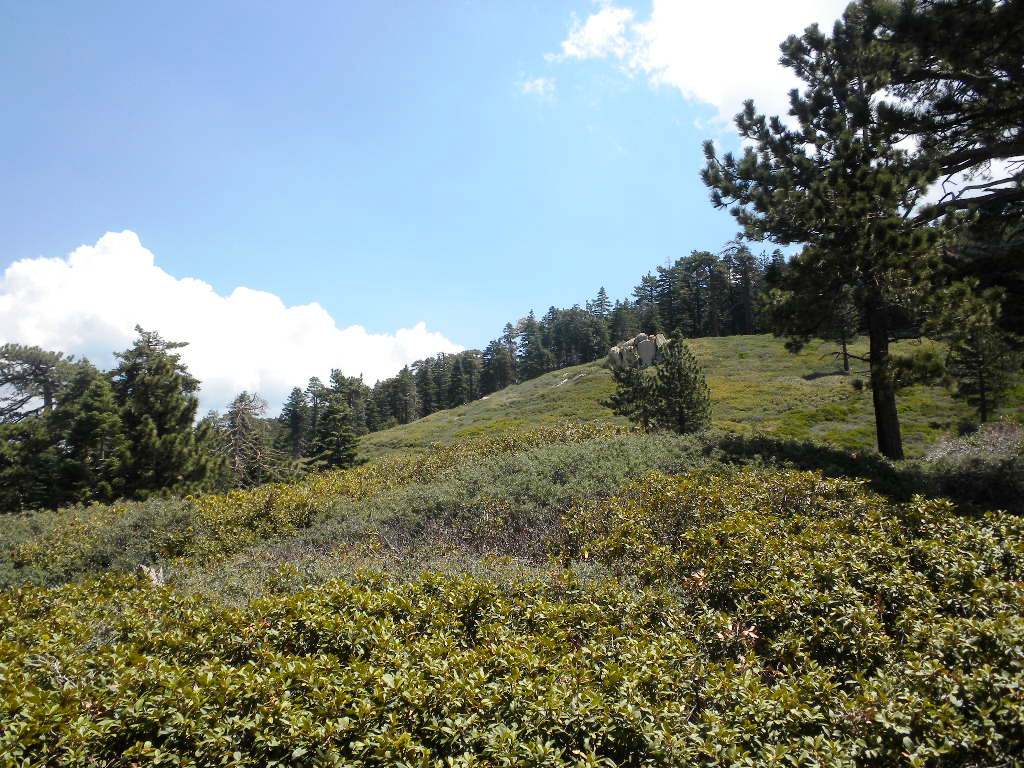 SBPeak72609 015.jpg