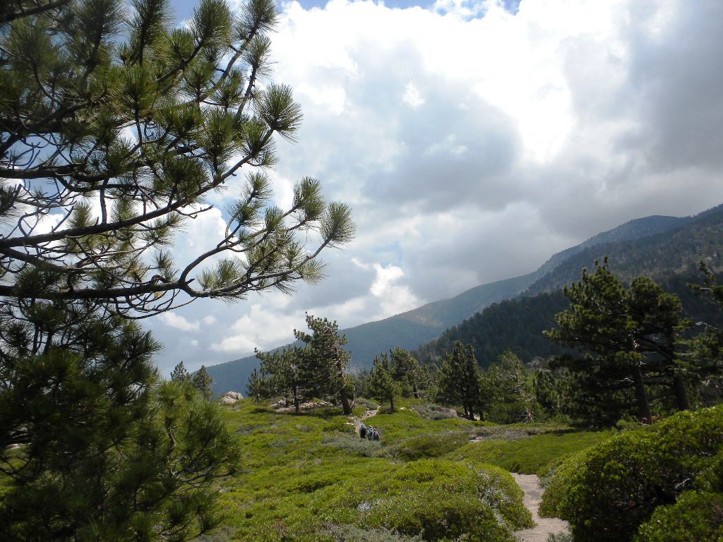 SBPeak72609 019.jpg