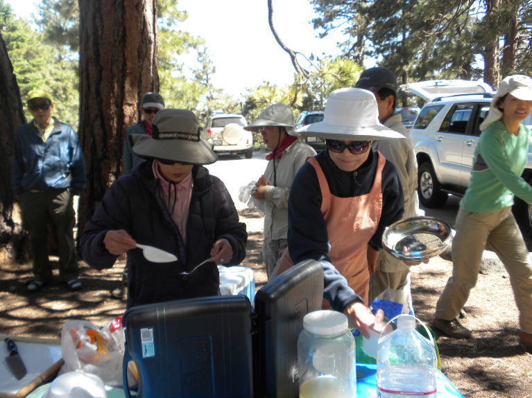 badenpowell0609 107.jpg