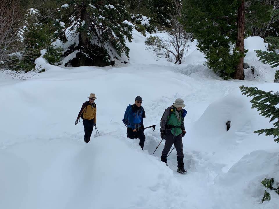 1575252384859.jpg : Mt. Timber 산행, 2019년 12월 1일