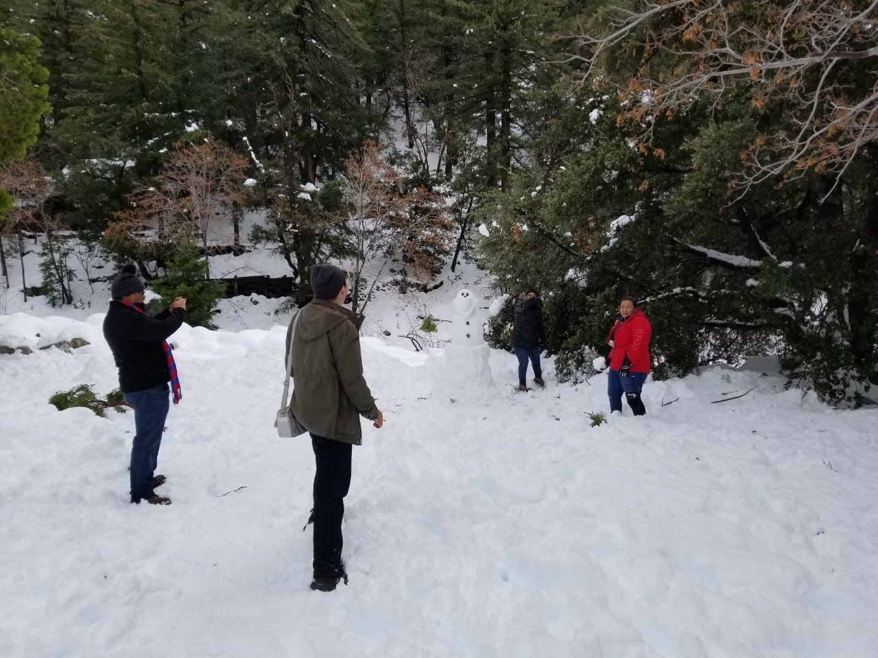 1575246539170-3.jpg : Mt. Timber 산행, 2019년 12월 1일