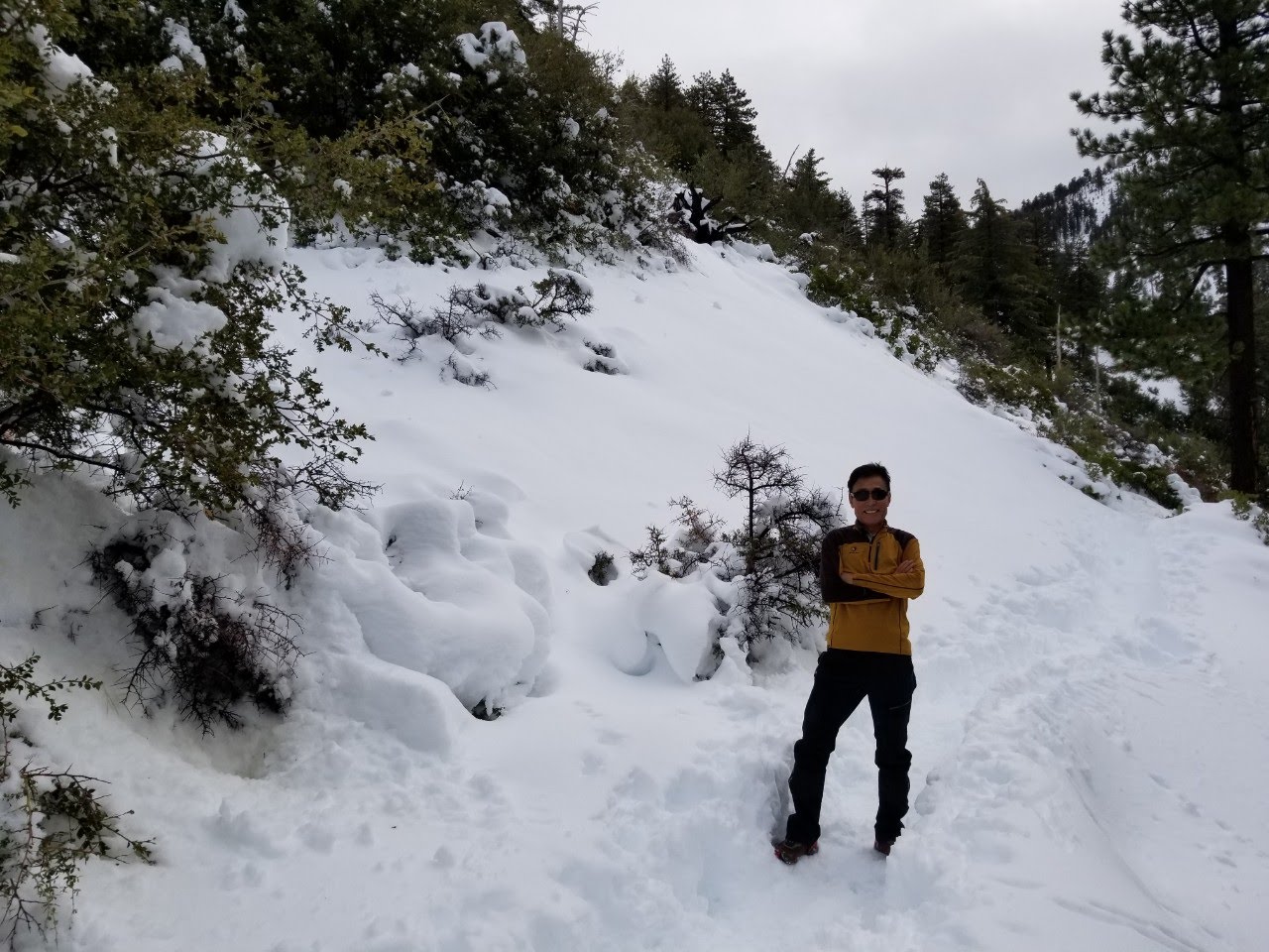 1575246539170-20.jpg : Mt. Timber 산행, 2019년 12월 1일