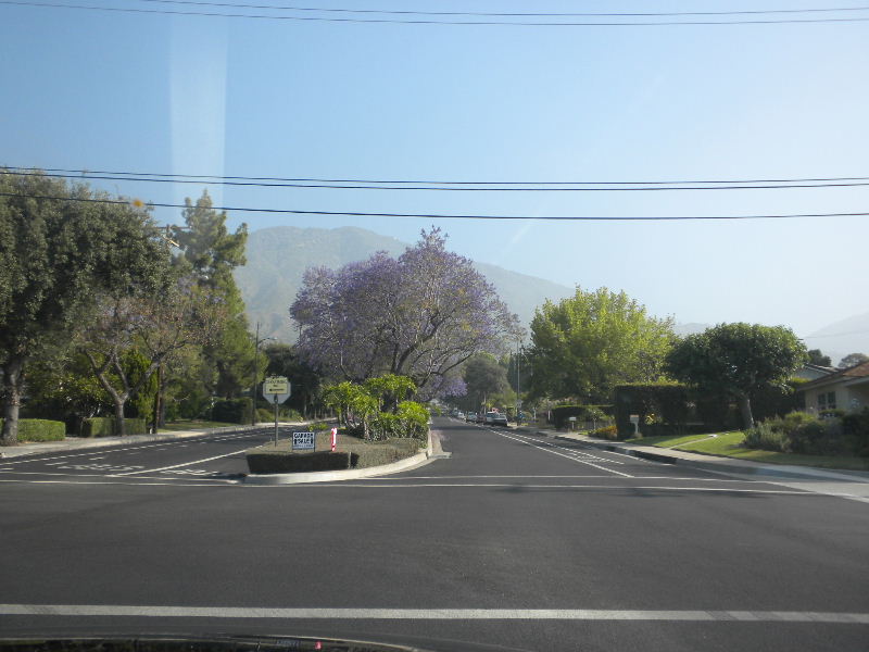 wilson062010 014.jpg