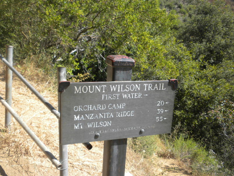 wilson062010 020.jpg