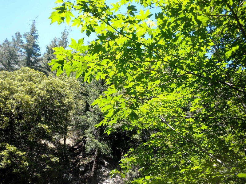 wilson062010 036.jpg