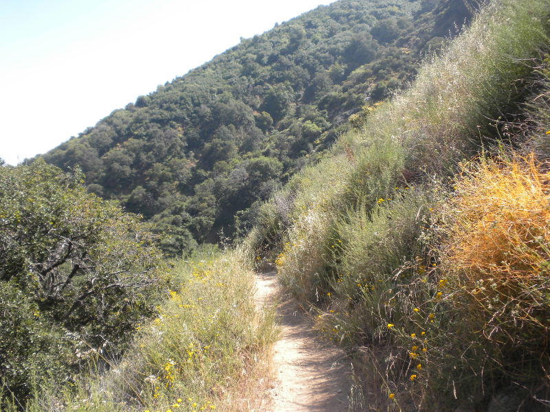 wilson062010 043.jpg