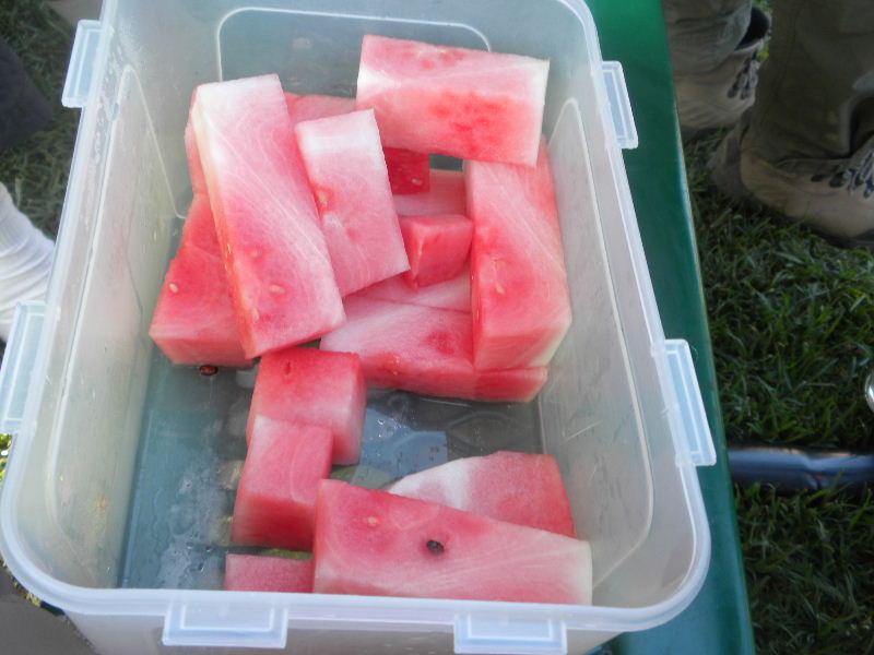 wilson062010 049.jpg