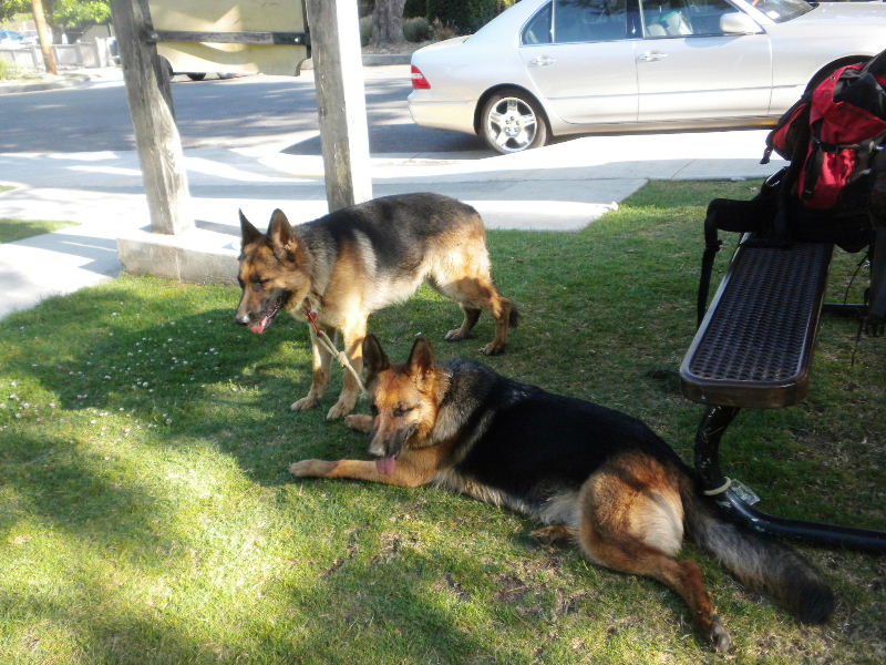 wilson062010 064.jpg