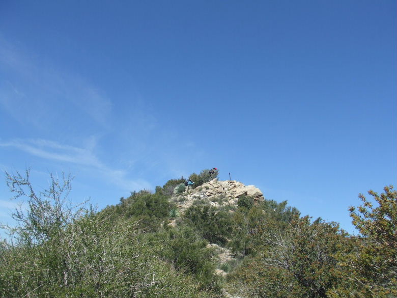nattle41909 021.jpg