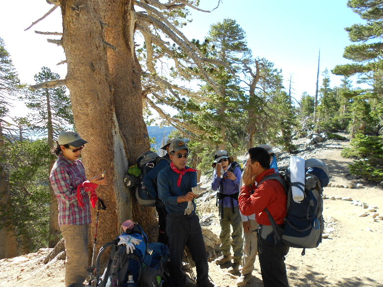 mt.baldy, jmt 013.jpg