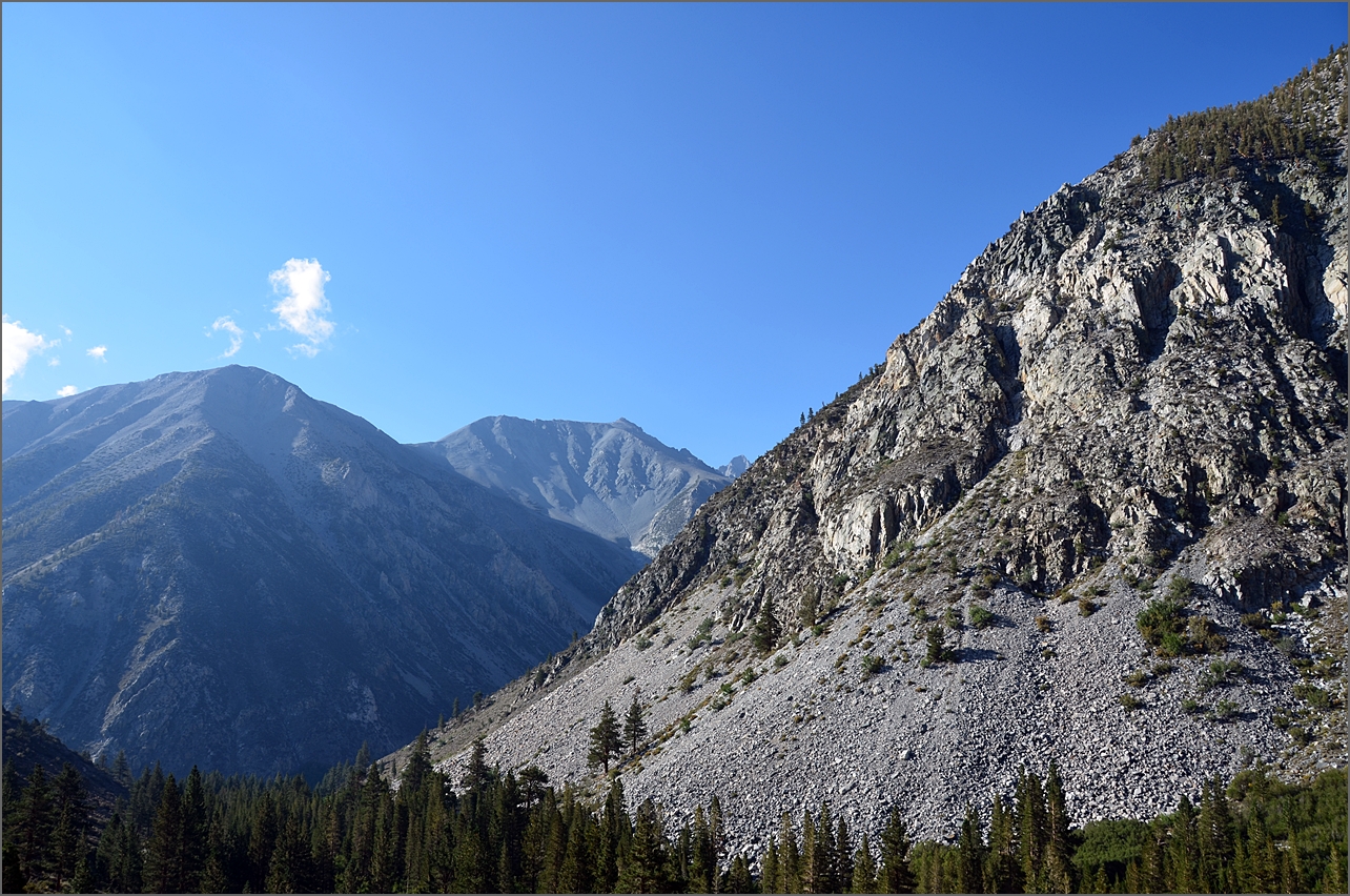 DSC_2391.JPG