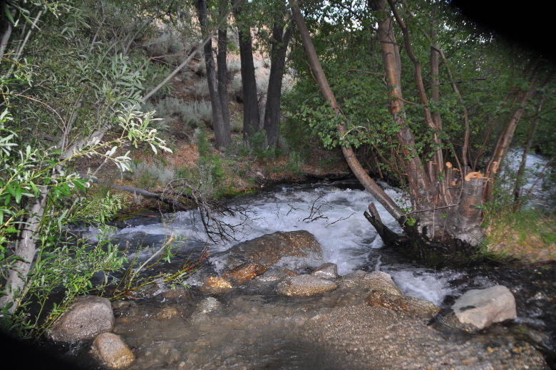 onionvalley711N 091.JPG