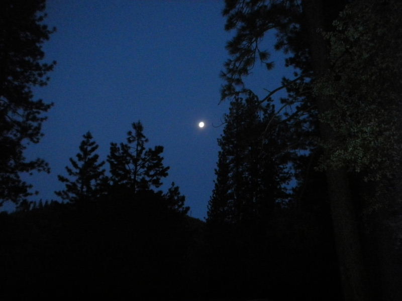 yosemite52010 073.JPG