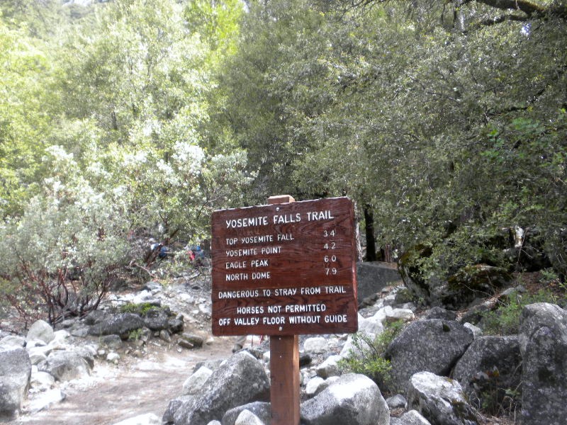 yosemite52010 111.JPG