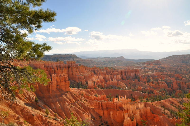 Brycecanyon511 126.JPG