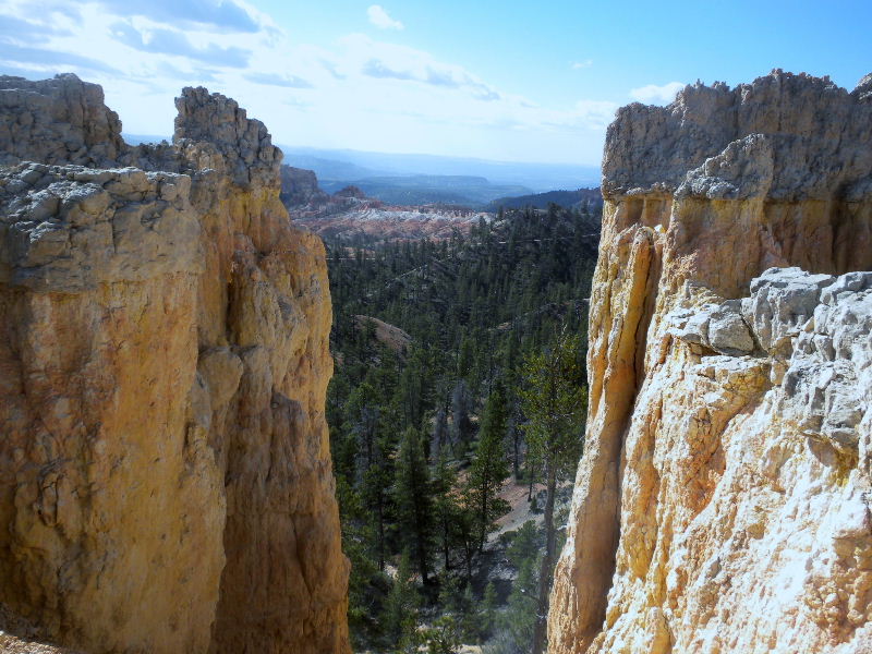 brycecanyon511s 098.JPG