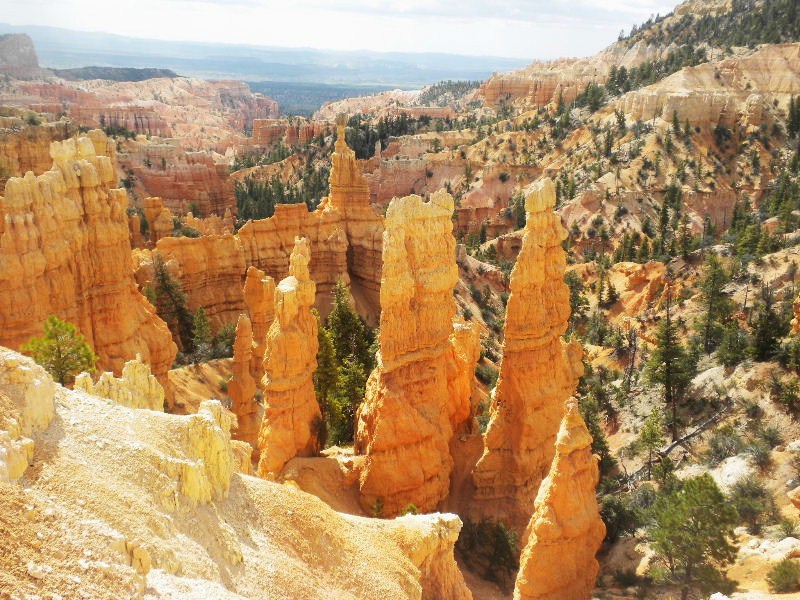 brycecanyon511s 146.JPG