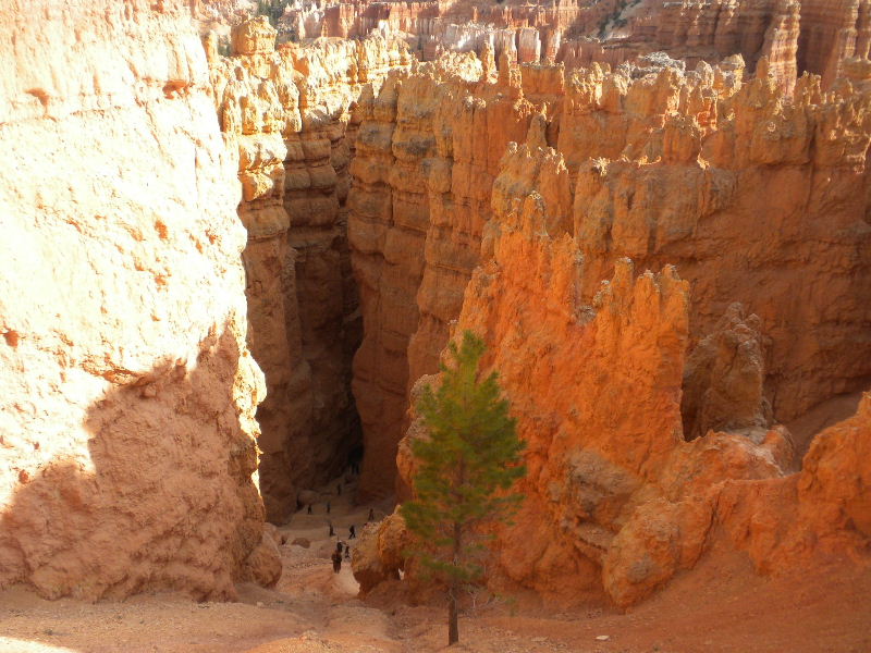 brycecanyon511s 218.JPG